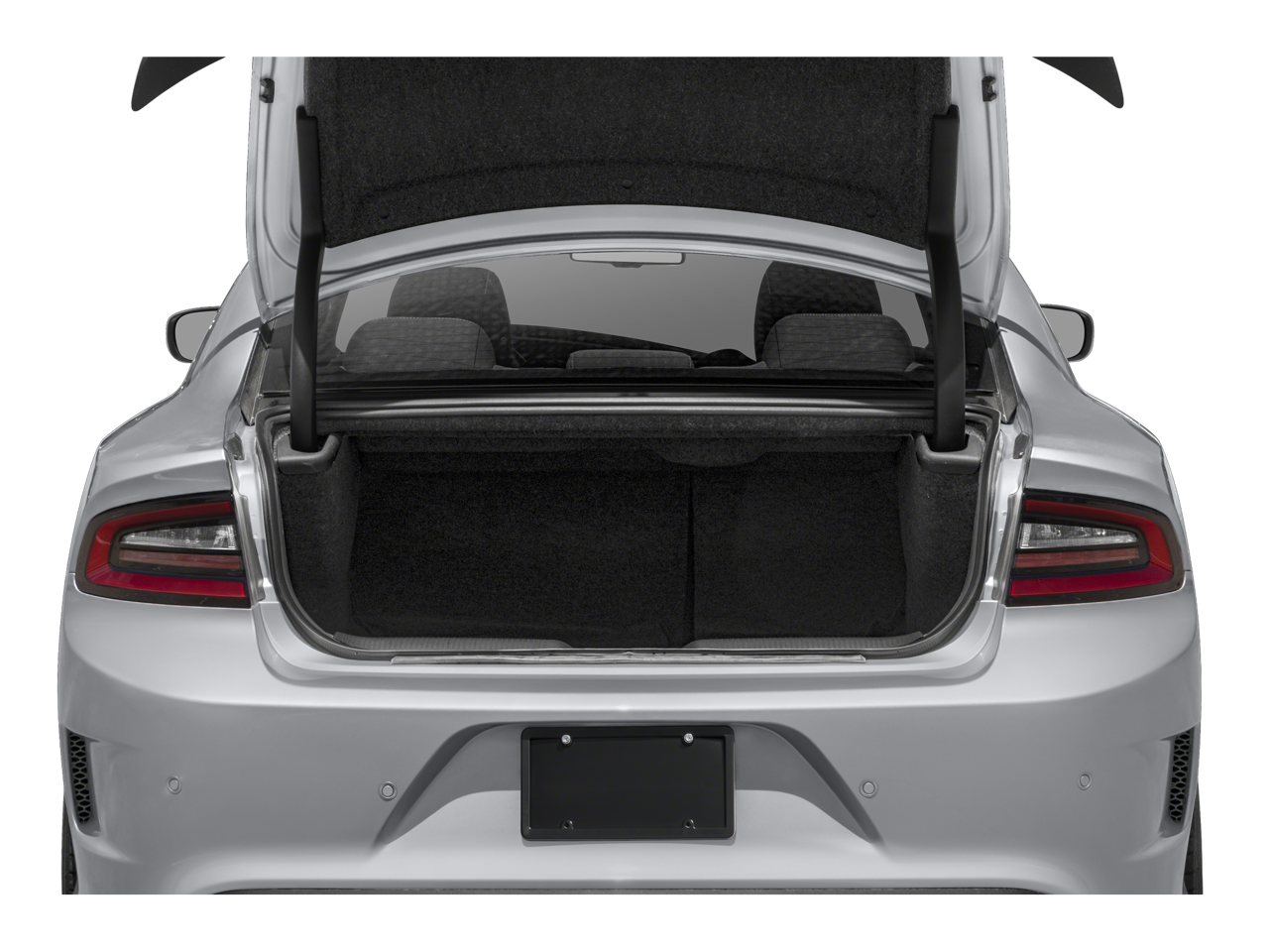 2022 Dodge Charger R/T Scat Pack Widebody photo 2