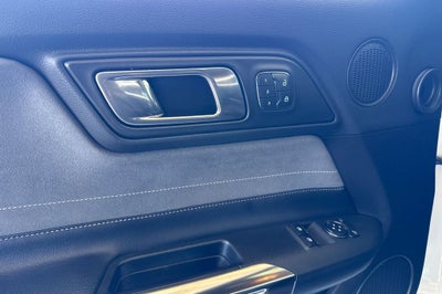 2019 Ford Mustang Shelby GT350 HANDLING PKG