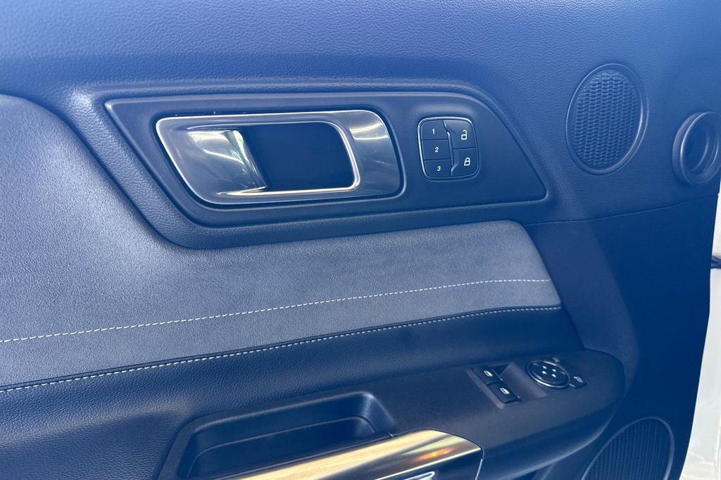 2019 Ford Mustang Shelby GT350 HANDLING PKG
