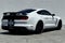2019 Ford Mustang Shelby GT350 HANDLING PKG
