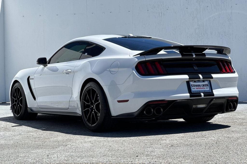 2019 Ford Mustang Shelby GT350 HANDLING PKG