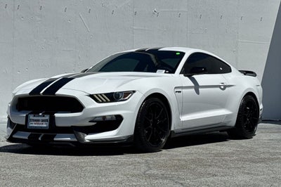 2019 Ford Mustang Shelby GT350 HANDLING PKG