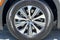 2023 INFINITI QX60 PURE