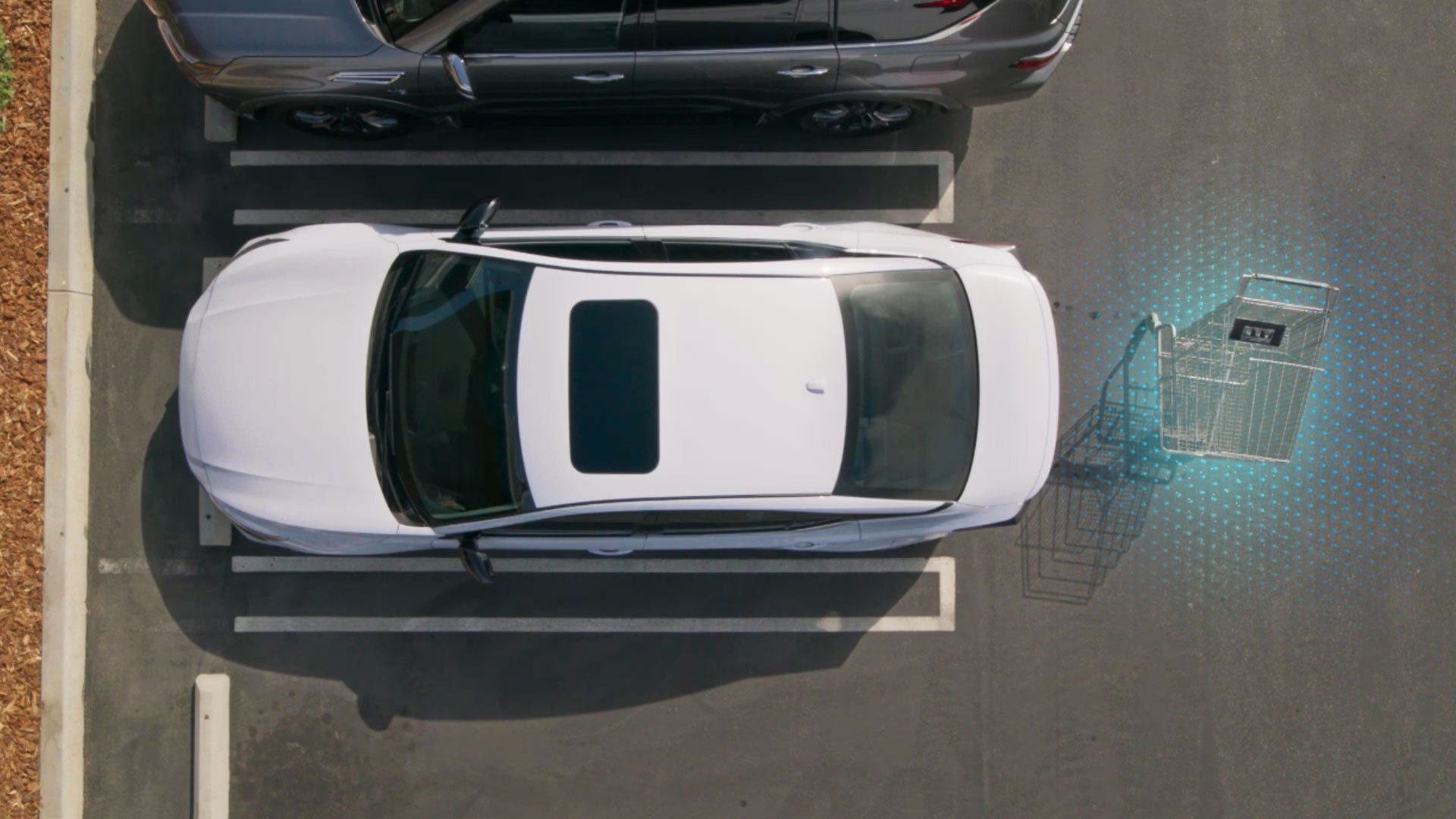 2026 Nissan Altima | Stevens Creek Nissan in Santa Clara, CA